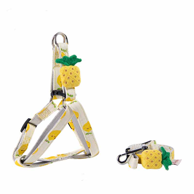 Fruit Print Dog Collar & Leash Set – Stylish Pet Walking Gear