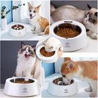Smart Weighing Slow Feeder Bowl – Dog & Cat Food Dish
