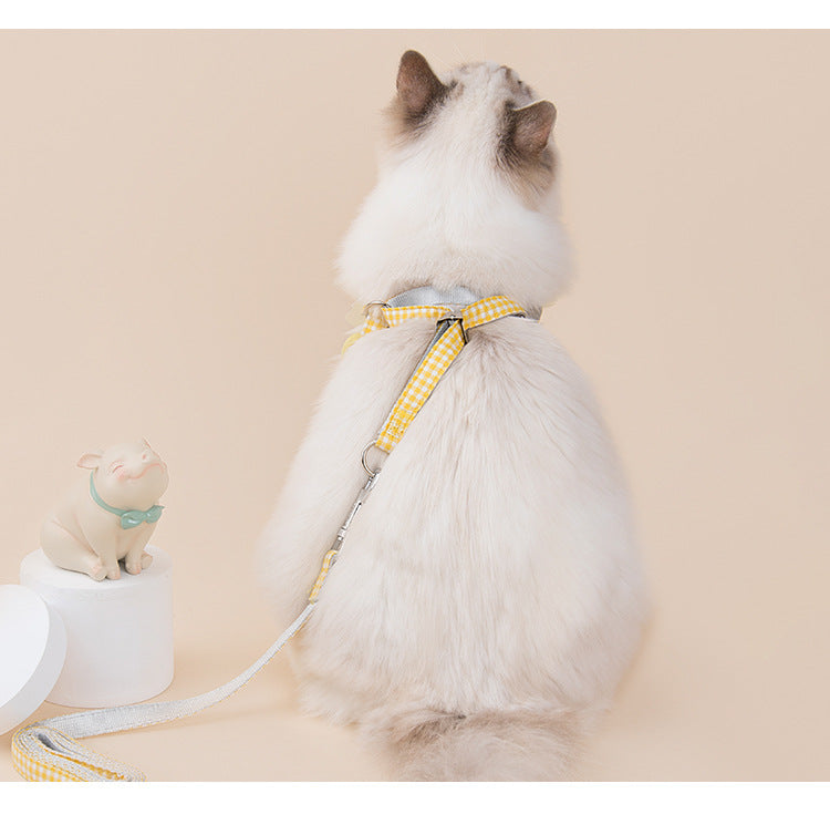 Fruit Print Dog Collar & Leash Set – Stylish Pet Walking Gear