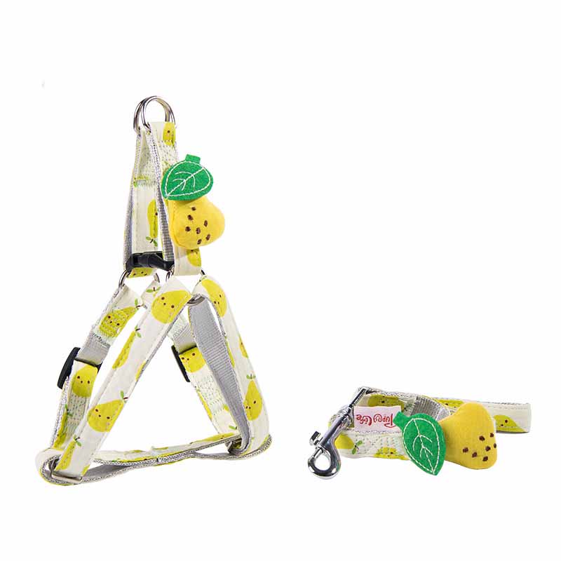 Fruit Print Dog Collar & Leash Set – Stylish Pet Walking Gear
