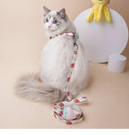 Fruit Print Dog Collar & Leash Set – Stylish Pet Walking Gear