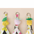 Fruit Print Dog Collar & Leash Set – Stylish Pet Walking Gear