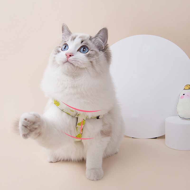 Fruit Print Dog Collar & Leash Set – Stylish Pet Walking Gear